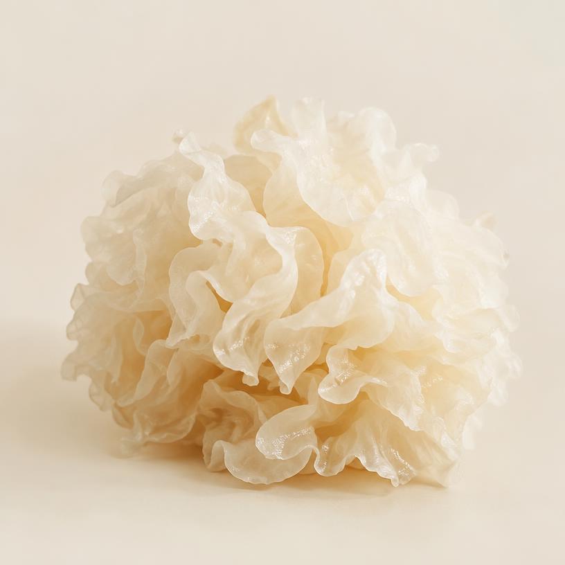 Tremella Mushroom